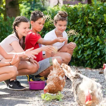 503 Landidyll Grömitz