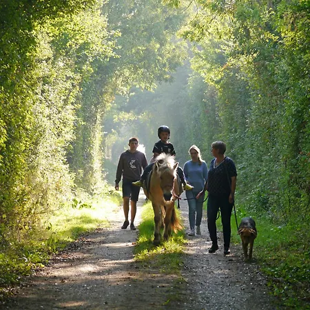 503 Landidyll Appartement Grömitz