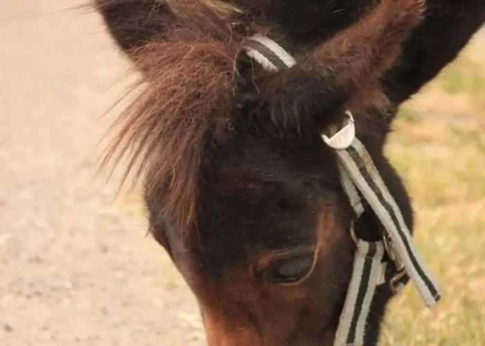 Appartement 503 Landidyll *