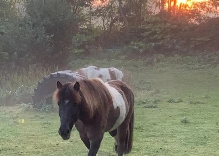 503 Landidyll * Grömitz