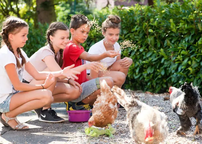 503 Landidyll Grömitz