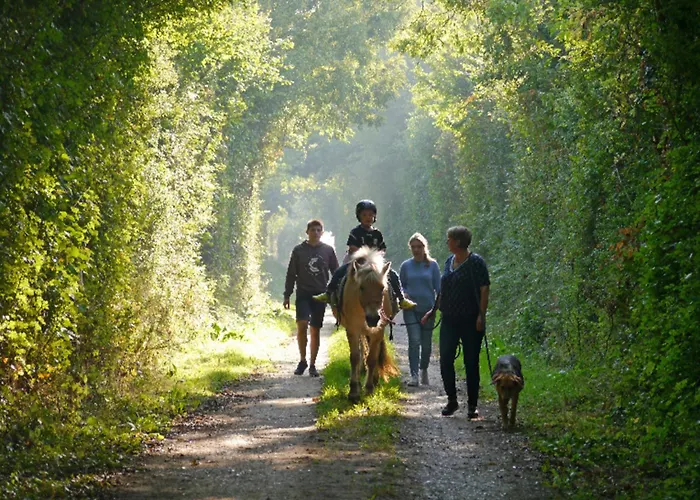 Appartement 503 Landidyll