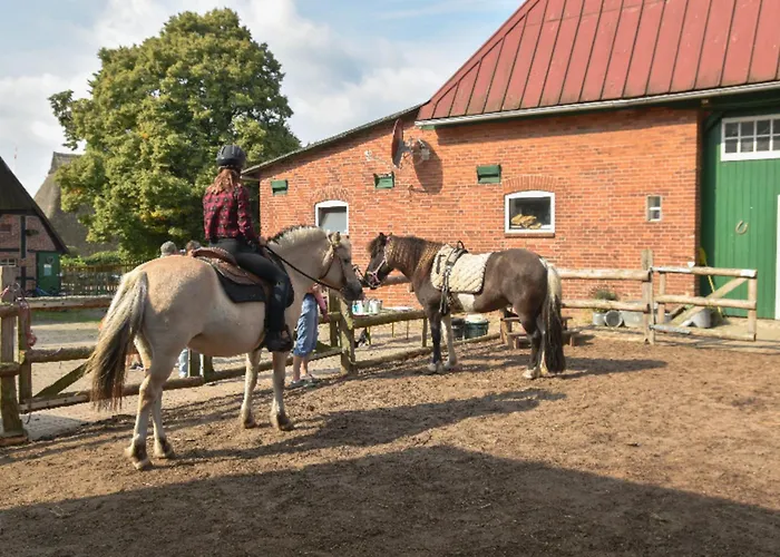 Appartement 503 Landidyll *