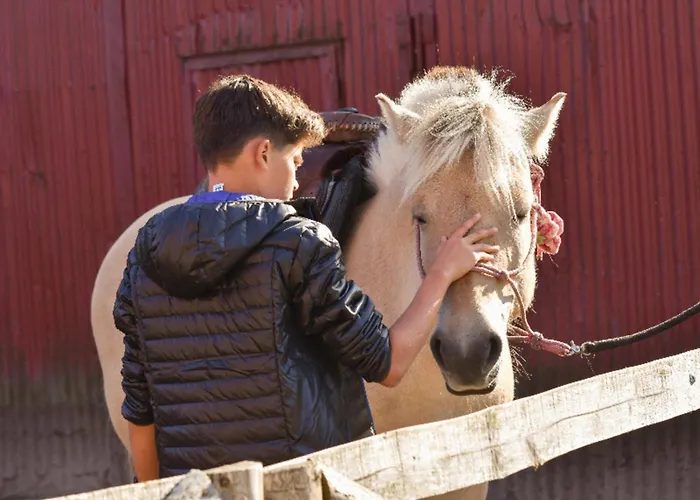 503 Landidyll Appartement Grömitz