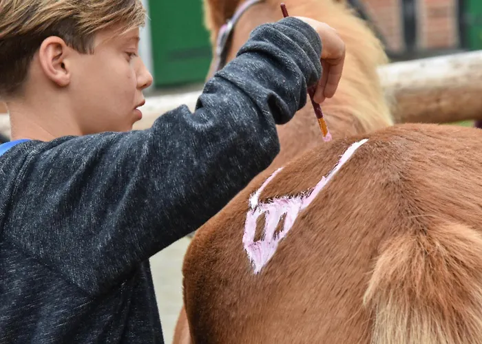 503 Landidyll Appartement